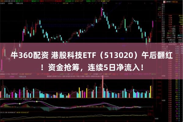 牛360配资 港股科技ETF（513020）午后翻红！资金抢筹，连续5日净流入！
