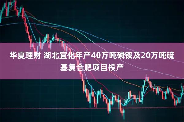华夏理财 湖北宜化年产40万吨磷铵及20万吨硫基复合肥项目投产