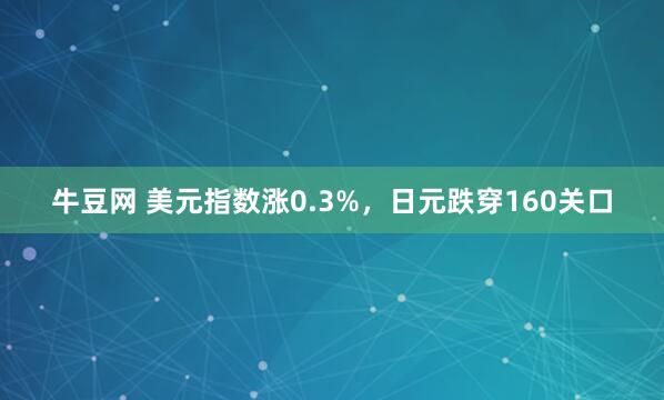 牛豆网 美元指数涨0.3%，日元跌穿160关口